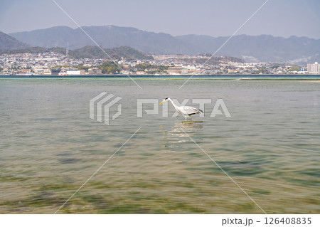 《広島県》宮島の風景 126408835