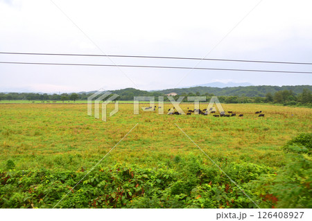 JR北海道、室蘭本線の白老駅から苫小牧駅までの普通列車車窓風景(2023年夏曇り空) JR北海道、室蘭本線の白老駅から苫小牧駅までの普通列車車窓風景(2023年夏曇り空) 126408927