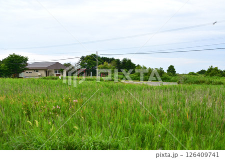 JR北海道、日高本線の苫小牧駅から鵡川駅までの風景(2023年夏曇り空) 126409741