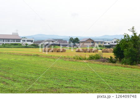 JR北海道、日高本線の苫小牧駅から鵡川駅までの風景(2023年夏曇り空) JR北海道、日高本線の苫小牧駅から鵡川駅までの風景(2023年夏曇り空) 126409748