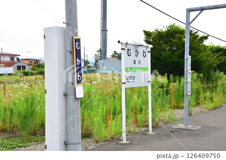 JR北海道、日高本線の苫小牧駅から鵡川駅までの風景(2023年夏曇り空) JR北海道、日高本線の苫小牧駅から鵡川駅までの風景(2023年夏曇り空) 126409750