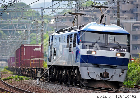 東海道本線　真鶴　JR貨物　EF210-137（岡山） 126410462
