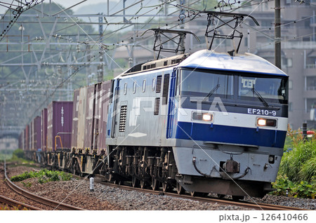 東海道本線　真鶴　JR貨物　EF210-9（岡山） 126410466