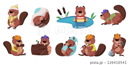 Cute beavers collection, vector cartoon wild rodent animal gnawing wood trunk, floating in pond, sleeps, builder worker 126410541