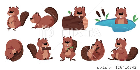 Vector set of cute beavers in different poses, sitting, sleeping, gnawing, swimming. Vector set of cute beavers in different poses, sitting, sleeping, gnawing, swimming. 126410542