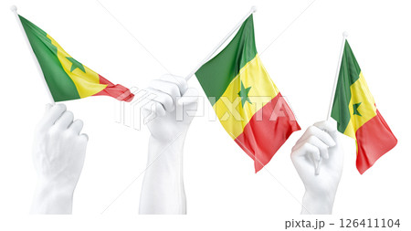 Hand holding flag of Senegal. Isolated 3d Rendering Hand holding flag of Senegal. Isolated 3d Rendering 126411104