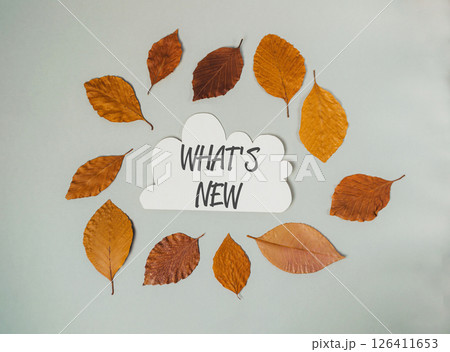 White cloud with the word What's New written in black White cloud with the word What's New written in black 126411653
