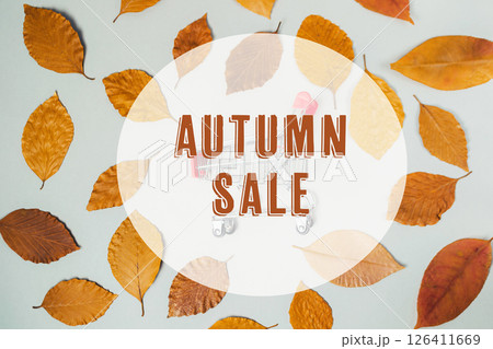 A fall sale sign is displayed on a background of autumn leaves A fall sale sign is displayed on a background of autumn leaves 126411669