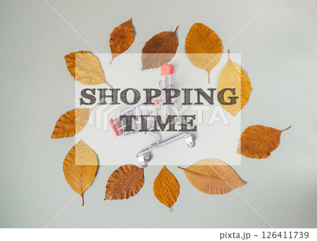 Shopping cart is on top of a pile of leaves Shopping cart is on top of a pile of leaves 126411739