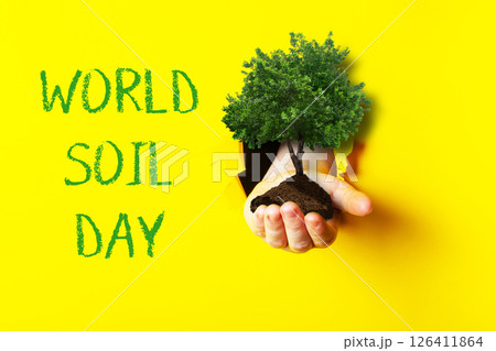 Hand holding a tree in front of a yellow background with World Soil Day Hand holding a tree in front of a yellow background with World Soil Day 126411864