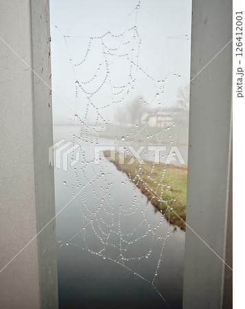 A spider web is seen through a window, with water droplets on the web 126412001