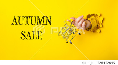 A person holding a shopping cart with the words Autumn Sale written underneath A person holding a shopping cart with the words Autumn Sale written underneath 126412045