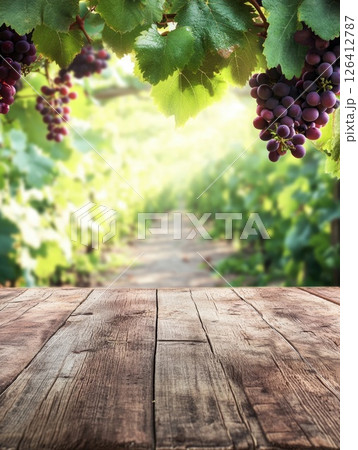 Sunlit vineyard path stretches beyond wooden table, framed by vibrant green leaves and ripe purple grapes. Ideal for wine, harvest, natural product displays 126412787