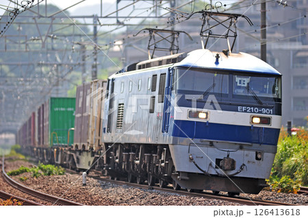 東海道本線 真鶴 JR貨物 EF210-901(岡山) 東海道本線 真鶴 JR貨物 EF210-901(岡山) 126413618