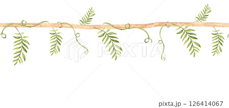 Seamless border Liana branch with tropical leaves. Horizontal pattern. Hand drawn Watercolor illustration of Jungle plants. Can be used for textile and wallpaper design. Seamless border Liana branch with tropical leaves. Horizontal pattern. Hand drawn Watercolor illustration of Jungle plants. Can be used for textile and wallpaper design. 126414067