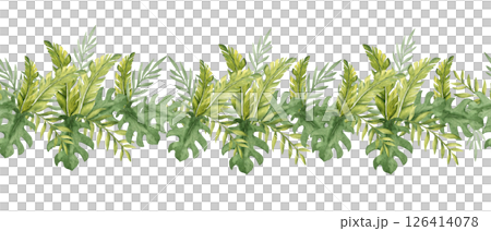 Watercolor Tropical Leaves horizontal seamless border pattern. Eucalyptus, Monstera and Banana Palm. Hand drawn botanical exotic illustration. Can be used for packaging, adhesive tape, textile prints Watercolor Tropical Leaves horizontal seamless border pattern. Eucalyptus, Monstera and Banana Palm. Hand drawn botanical exotic illustration. Can be used for packaging, adhesive tape, textile prints 126414078