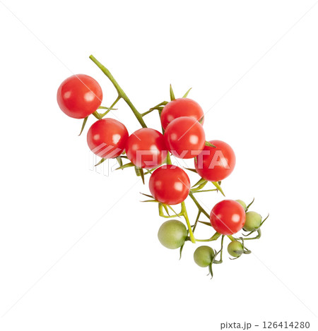 A sprig of red cherry tomatoes isolated on a white background. Design element for product label. A sprig of red cherry tomatoes isolated on a white background. Design element for product label. 126414280