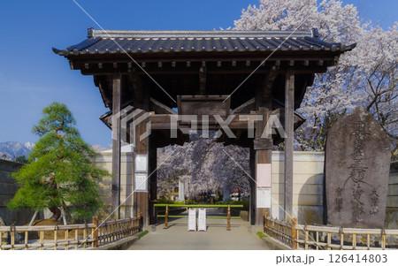 Traditional Gate and Engraved Stone at Temple in Yamanashi Japan and Cherry Blossoms and Mountain Backdrop 126414803