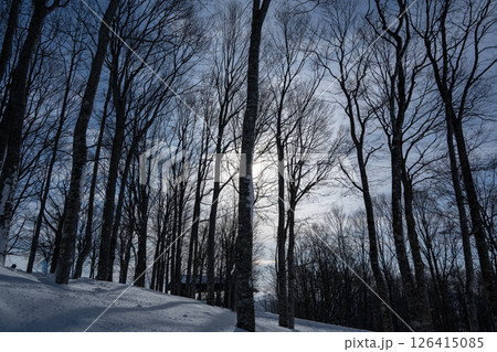 スキー場　ゲレンデ風景　長野県白馬村 126415085