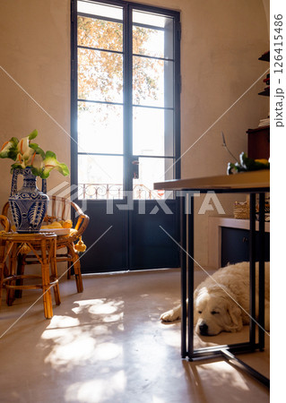 Sunlit Calm in a Southern Italian Interior 126415486