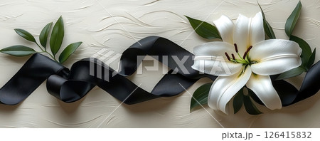 Elegant White Lily with Black Ribbon on Textured Light Background 126415832