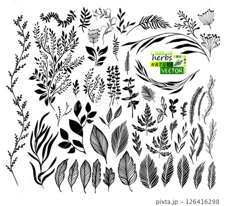 Set of graphic black leaves and branches. hand drawn. Not AI, Vector illustration 126416298