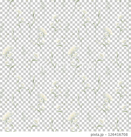 Watercolor wildflowers yarrow and field grasses. Seamless floral pattern isolated from background. Hand drawn illustration meadow white flowers and wild greenery for fabric print, textile and cards. 126416708