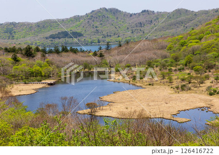 新緑の赤城山 鳥居峠から見る覚満淵 新緑の赤城山 鳥居峠から見る覚満淵 126416722