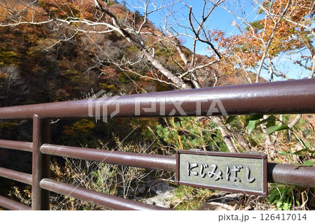 秋の虹見橋　栃木 126417014