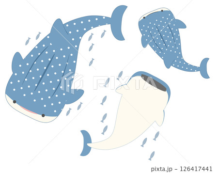 ゆるっとジンベエザメ 126417441