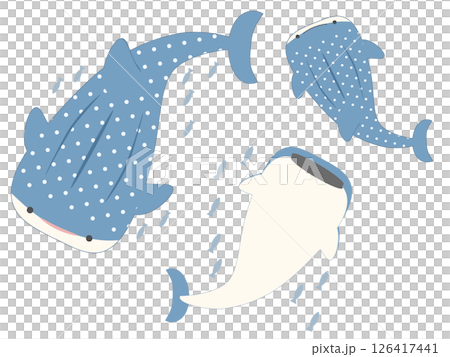 ゆるっとジンベエザメ 126417441