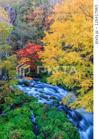 彩り豊かな渓流と秋の森（北海道・阿寒湖） 126417965