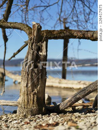 Weathered wood structure along serene lakeshore with clear blue sky and calm water creates a peaceful landscape during daylight 126417975