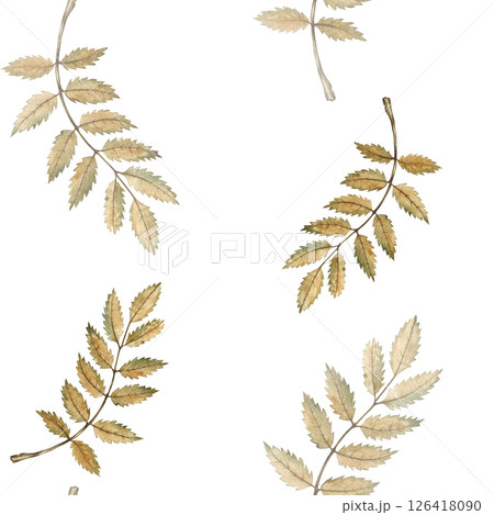 Seamless autumn pattern with autumn mountain ash leaves. Handmade watercolor illustration. For packaging, textiles and wallpaper, wrapping paper. For tablecloths, curtains and other home decor. 126418090