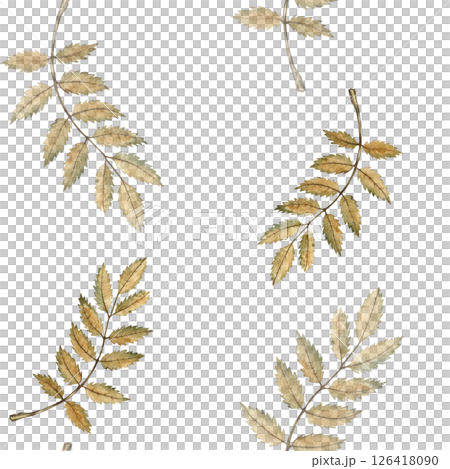 Seamless autumn pattern with autumn mountain ash leaves. Handmade watercolor illustration. For packaging, textiles and wallpaper, wrapping paper. For tablecloths, curtains and other home decor. 126418090