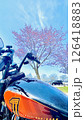 バイクと桜と満開の桜を楽しむ 126418883