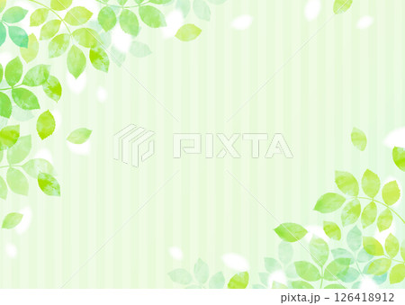 新緑の葉が舞う爽やかなイラスト背景 126418912