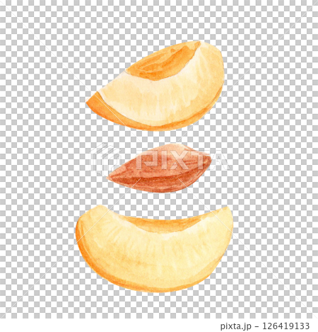 Two juicy apricot slices stone pit watercolor set on white background. Perfect for packaging design, culinary blogs, recipe cards and summer prints. Juicy texture and natural color. Vintage collection Two juicy apricot slices stone pit watercolor set on white background. Perfect for packaging design, culinary blogs, recipe cards and summer prints. Juicy texture and natural color. Vintage collection 126419133