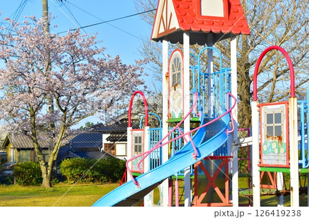 鳥取 中国地方 名和公園 桜 さくら サクラ 鳥取 中国地方 名和公園 桜 さくら サクラ 126419238