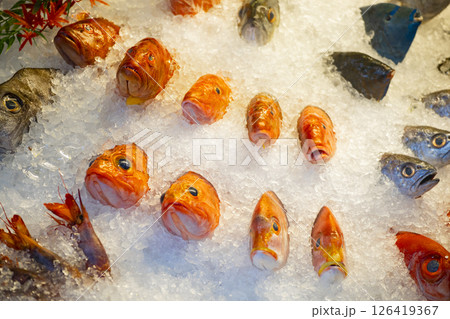 魚 魚類 サカナ 126419367