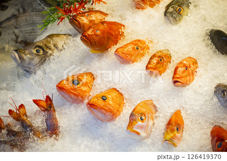 魚 魚類 サカナ 126419370