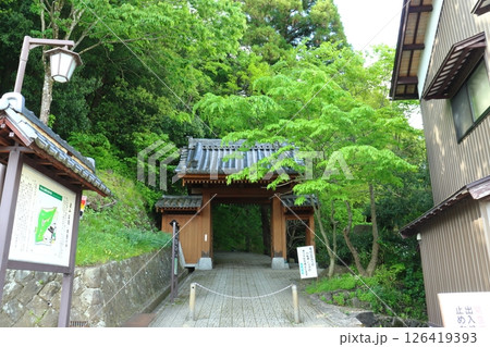 越前大野城 搦手門跡の登城口（福井県大野市） 126419393