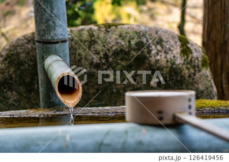 手水舎の竹の吐出口と柄杓 126419456
