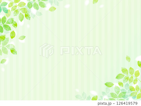 新緑の葉が舞う爽やかなイラスト背景 新緑の葉が舞う爽やかなイラスト背景 126419579