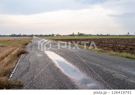 Lonely road surrounded by fields rural landscape open sky wide angle view 126419741