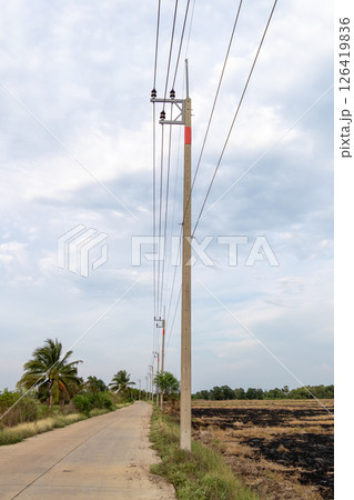 Power lines over rural road scenic landscape viewpoint nature concept 126419836