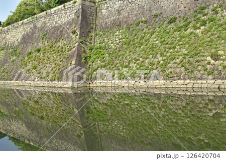 大阪城公園 内堀 石垣 リフレクション( fix撮影 ) 大阪城公園 内堀 石垣 リフレクション( fix撮影 ) 126420704