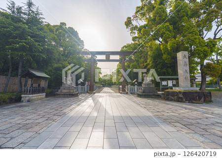和泉國一之宮　朝日を浴びる大鳥大社　西大鳥居（大阪府堺市西区鳳北町） 126420719