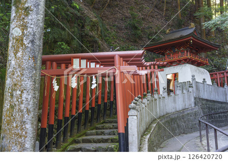 狸谷山不動院　白龍弁財天（京都市左京区一乗寺） 126420720