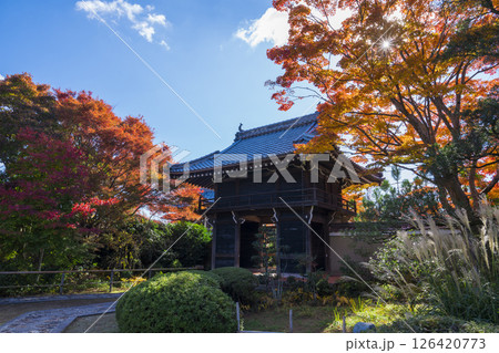 京都 源光庵の山門と紅葉 京都 源光庵の山門と紅葉 126420773